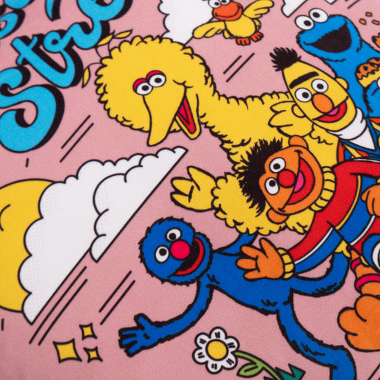 Kuddfodral 47 x 47cm - Sesame Street Since 1969 03