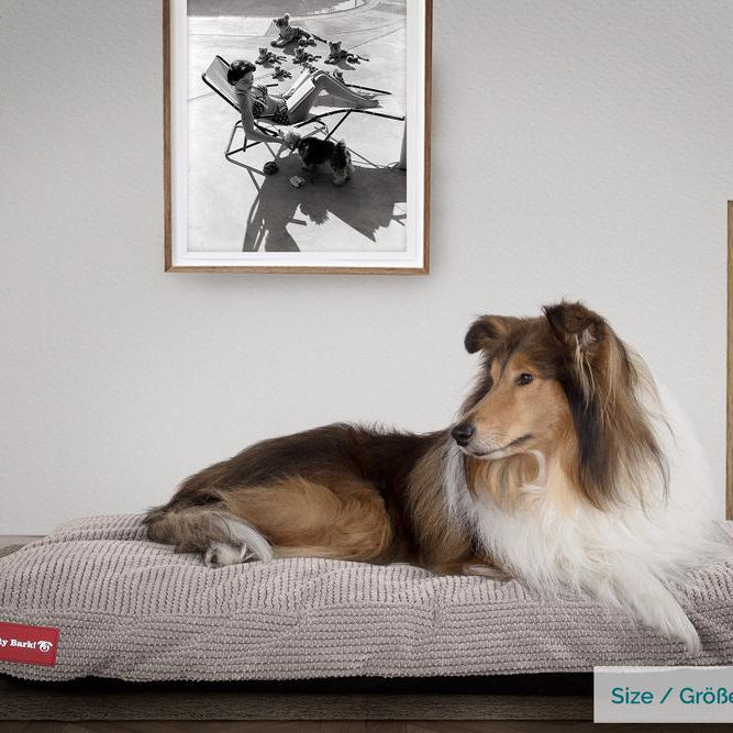 Mighty Bark, Madrassen, Hunddyna med Ortopediskt Memoryskum, Pom-pom Minkbrun