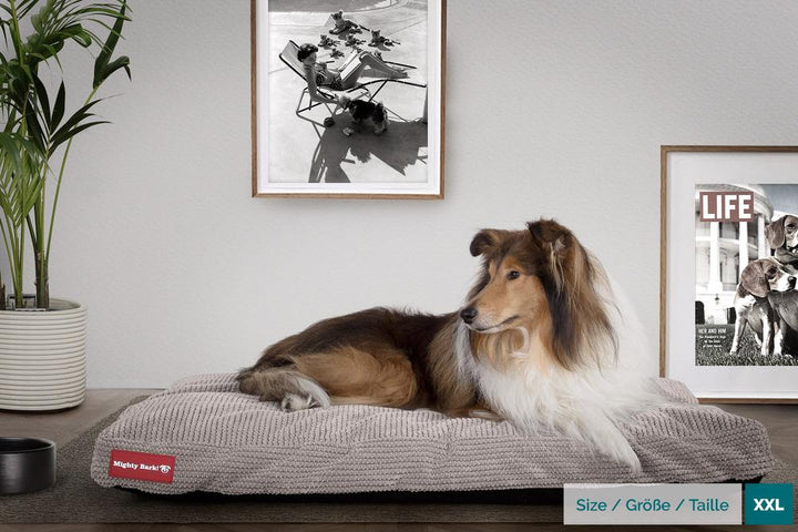 Mighty Bark, Madrassen, Hunddyna med Ortopediskt Memoryskum, Pom-pom Minkbrun