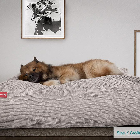 Mighty Bark, Hålan- Hundbädd med Memoryskum, Pom-pom Minkbrun