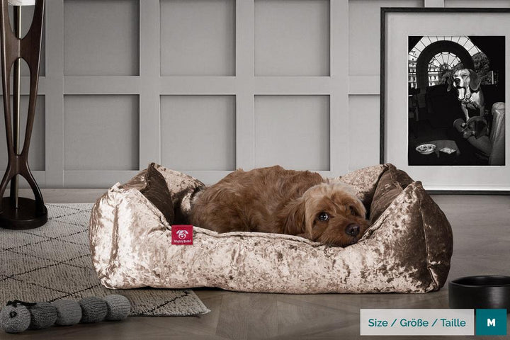 Mighty Bark, Hundkojan, Hundbädd med Ortopediskt Memoryskum, Vintagesammet Tryffel