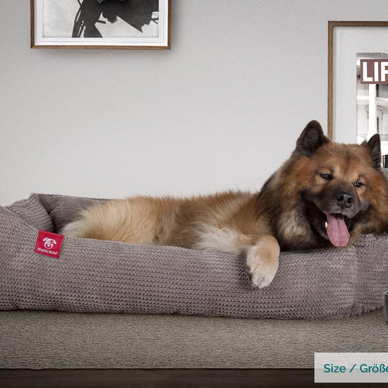 Mighty Bark, Hundkojan, Hundbädd med Ortopediskt Memoryskum, Pom-pom Mörkgrå
