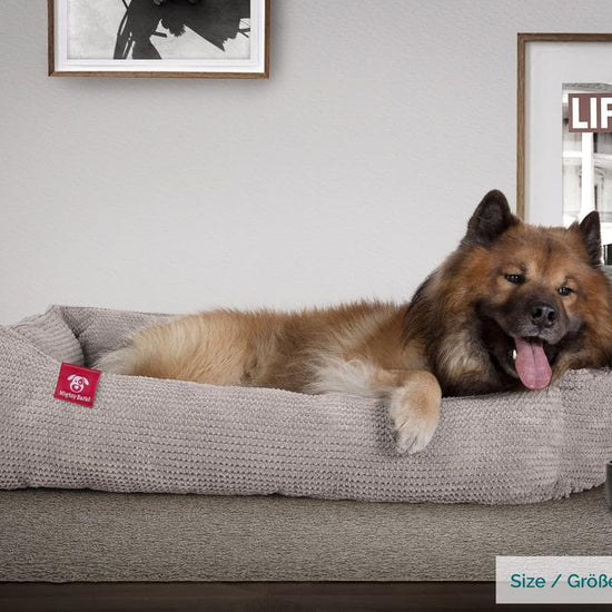 Mighty Bark, Hundkojan, Hundbädd med Ortopediskt Memoryskum, Pom-pom Minkbrun
