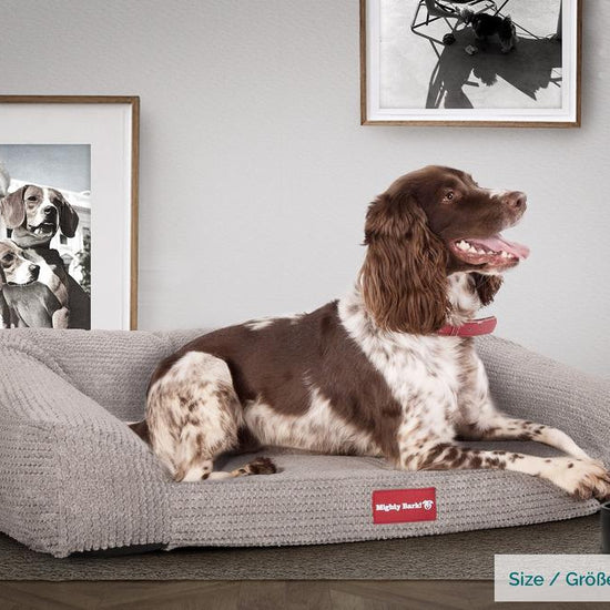 Mighty Bark, Soffan, Hundsoffa/Hundbädd med Ortopediskt Memoryskum, Pom-pom Minkbrun
